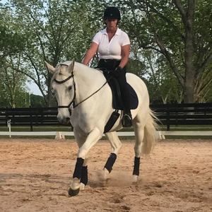 Meet your Posher, Lorri